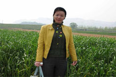 信息系統(tǒng)項目管理師優(yōu)秀學員